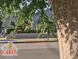 karencardstcg GIF