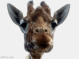 200.gif?cid=790b76115d0fe09a43326865490b9b9a&rid=200.gif