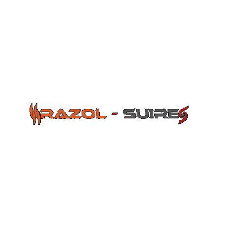 Brand Culture Sticker by RAZOL