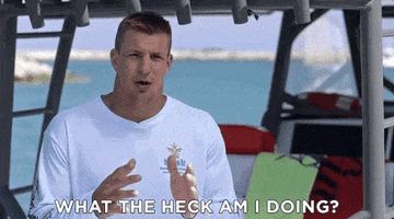 New England Patriots What GIF by Shark Week