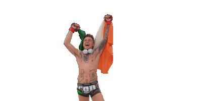 Mma Ireland Sticker by James Gallagher