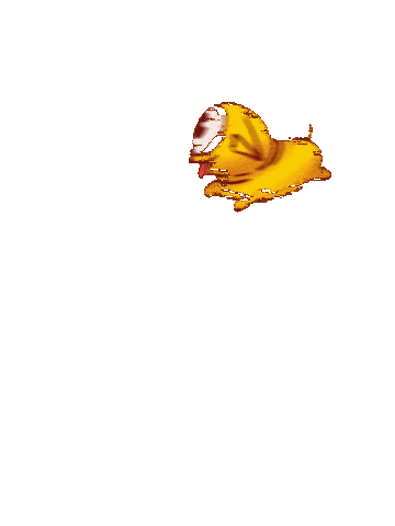 Animated Sticker