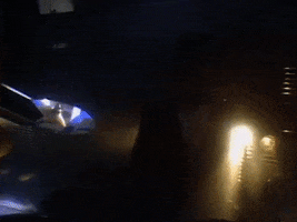 Prince GIF