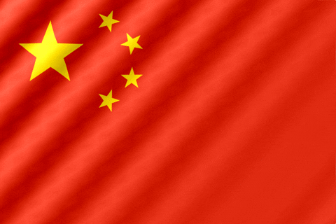 Republic-of-china-191249 GIFs - Get the best GIF on GIPHY