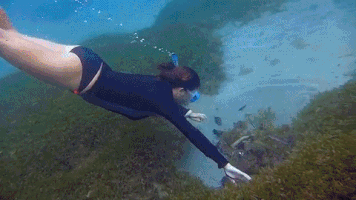 liquidART  GIF