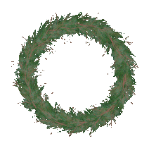 Christmas Fir Sticker