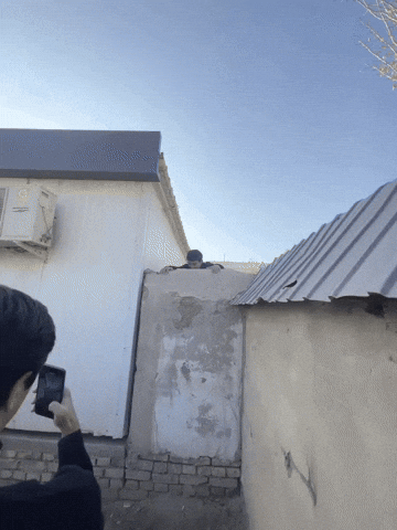 Palvon27 GIF
