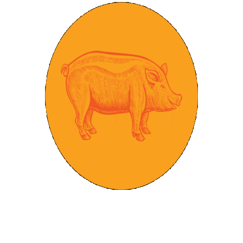 City of Kennesaw Sticker