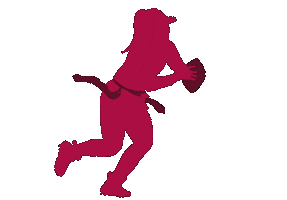 Flag Flagfootball Sticker by pragueharpies