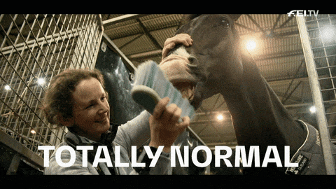 giphy-downsized-large.gif