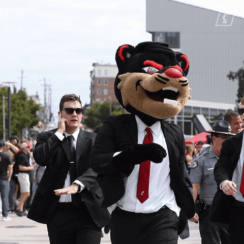 College Football Ncaa GIF by Cincinnati Bearcats