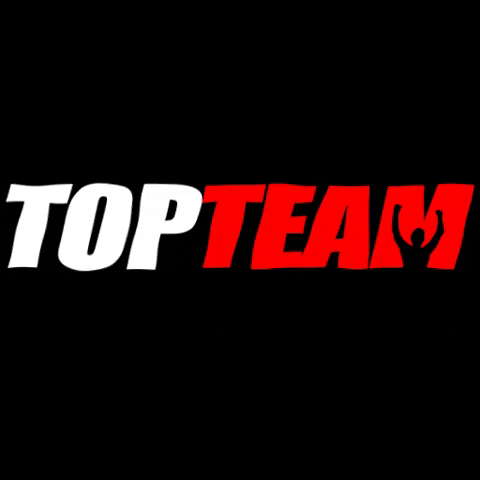 topteamff GIF