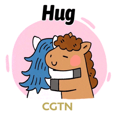 Spring Festival Hug Sticker by CGTN V-Studio