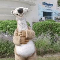 Mort De Rire Gifs Get The Best Gif On Giphy Mort De Rire Gifs Get The Best Gif On Giphy