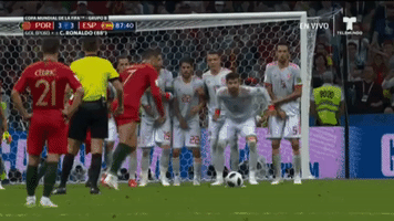 World Cup Soccer GIF
