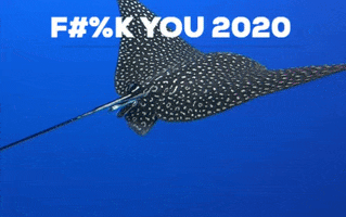 The Dive Bus, Curacao GIF