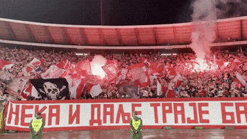 Red Star Football GIF by FK Crvena zvezda