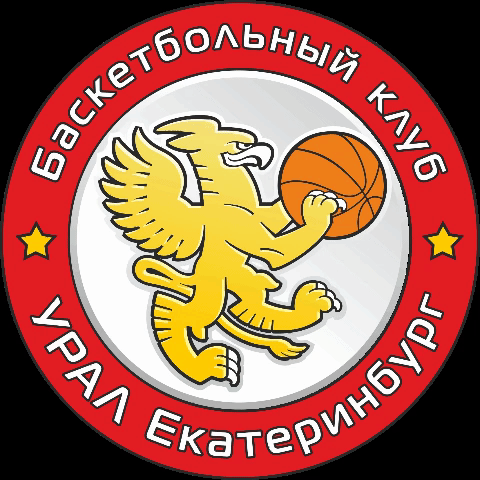 Basketball Basket GIF