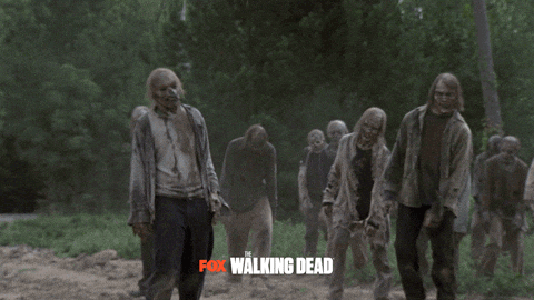 Animated GIF - Find & Share on GIPHY