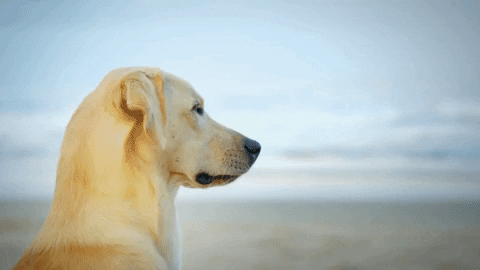 de ferias com o ex brasil