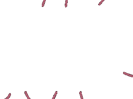 Tolerave Sticker by seebrückedresden