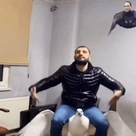 Guvercin GIF