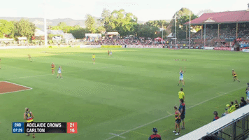 cramey GIF by Adelaide Crows