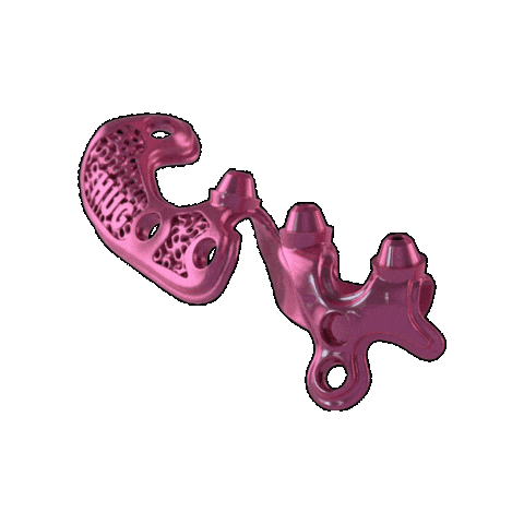 Implant Hug Sticker by Biotech Dental