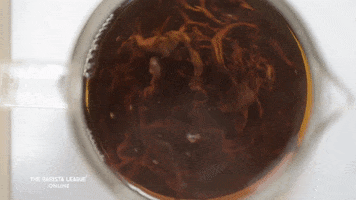 Loose Leaf Coffee GIF by The Barista League