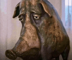 Disappointed Pig GIF