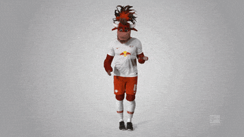 rb leipzig GIF by Bundesliga
