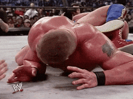 Brock Lesnar No GIF by WWE