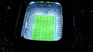 estadio santiago bernabeu soccer GIF by Real Madrid