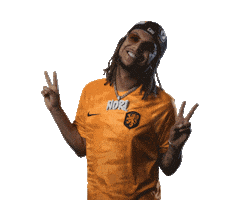 Huis van Oranje Sticker