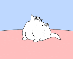hes trying hard fat cat GIF by Maudit