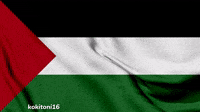 palestine-palestinian-flag-waving-2k9xgqWHI3VEVlUVK2