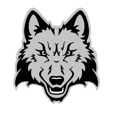 Wink Wolfpack Sticker by Madison College