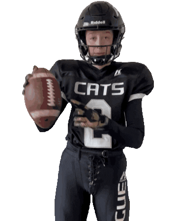 pragueblackcats Sticker