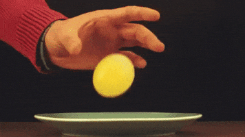 Egg GIF by Diply
