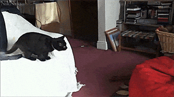Time Bed GIF