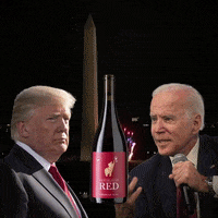 Trump Trump2020 GIF by Republican Red Wine