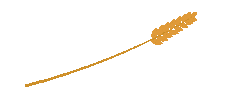 Wheat Grass Loop Sticker
