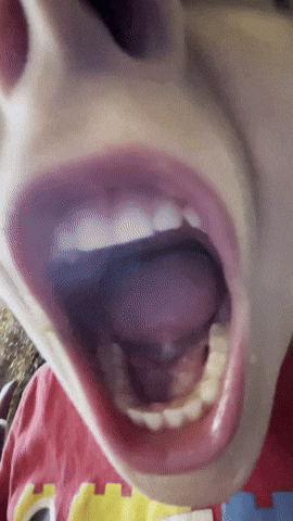 Heckyeah Win GIF