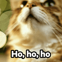 Ho Ho Ho Cat GIF by KPN