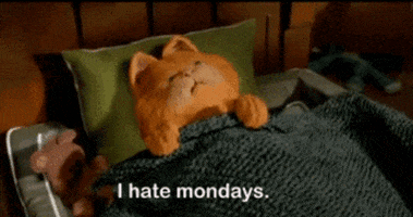 Cat Tired animated GIF