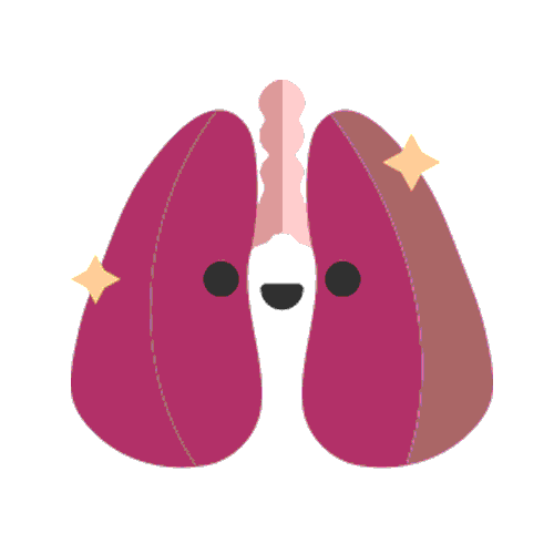 Lungs GIF