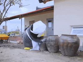 Pengsoo GIF