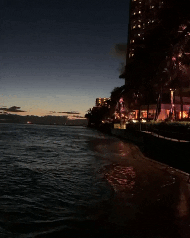 Sunset Lover Travel GIF by NOSAM