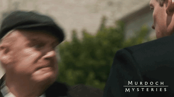 Knock Out Fighting GIF by Murdoch Mysteries