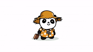 Summer Holiday GIF by The Cheeky Panda